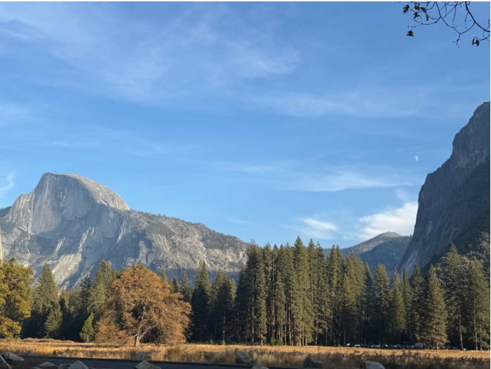 View of Half Dome inside Yosemite National Park (Photo By: Verity Priest).